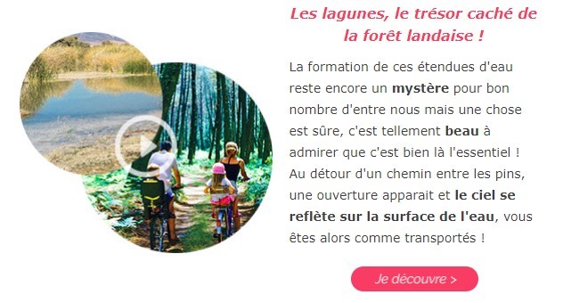 Forêt Landaise