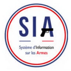 SIA-declaration-armes