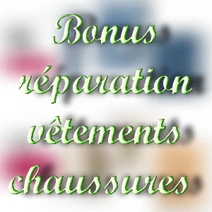 bonus-reparation