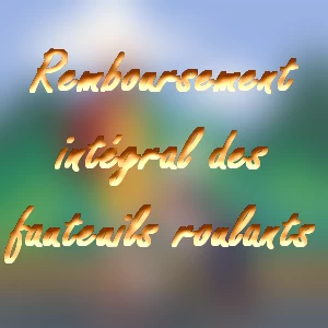fauteuil-roulant