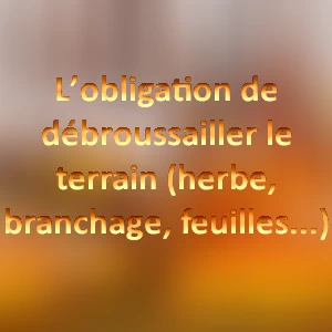 debroussailler