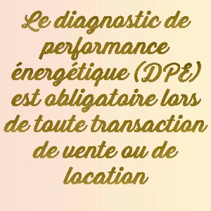 Diagnostic-dpe